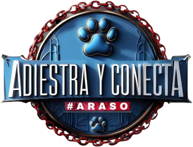 Adiestra y Conecta Entrenamiento Canino
